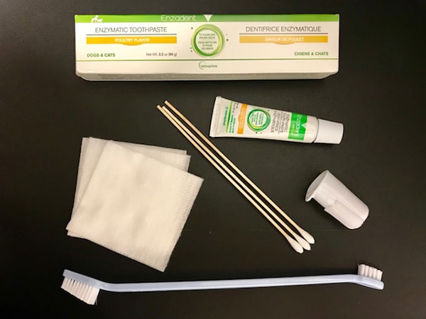 The different tools required for brushing your pets teeth. Includes toothpaste, q-tips, and tooth brushes.